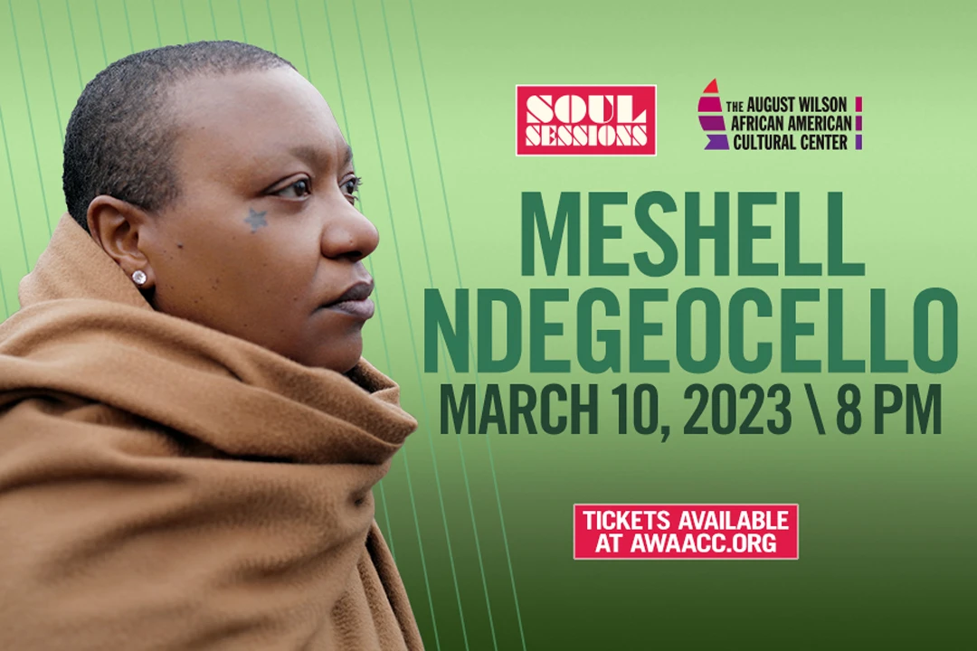 Soul Sessions: Meshell Ndegeocello at AWAACC