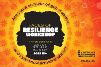 Faces of Resilience Workshops